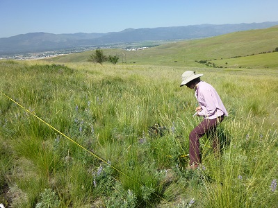 technician sampling percent cover on a hillside rangeland with mountains in the background